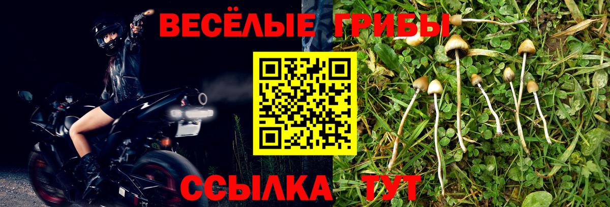 Наркошоп  Красный Сулин  Бошки Шишки  Вейп ТГК  ГАШИШ  Вход с VPN  КОКАИН  Меф МЯУ МЯУ кристаллы 