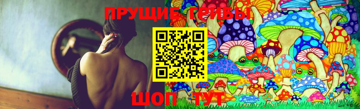 Псилоцибиновые грибы Psilocybine cubensis Красный Сулин