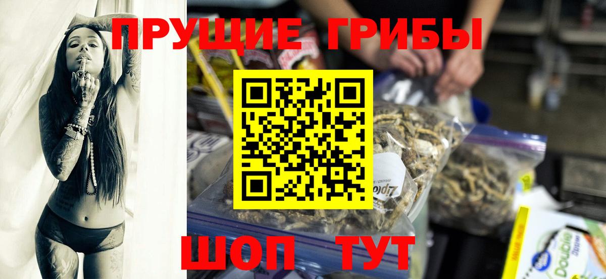 где найти наркотики  Галлюциногенные грибы Cubensis  Вход с VPN  Красный Сулин 